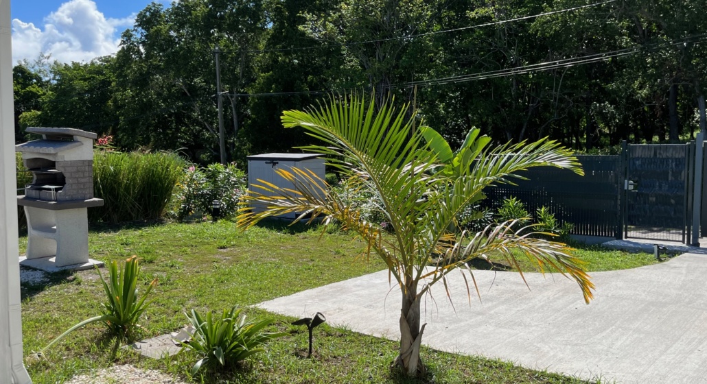 JARDIN
