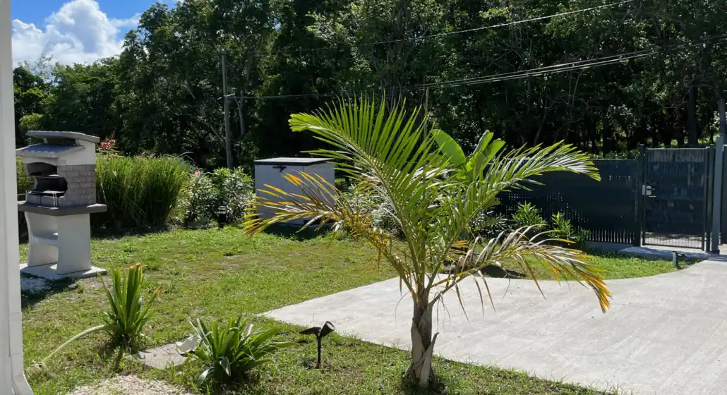 JARDIN