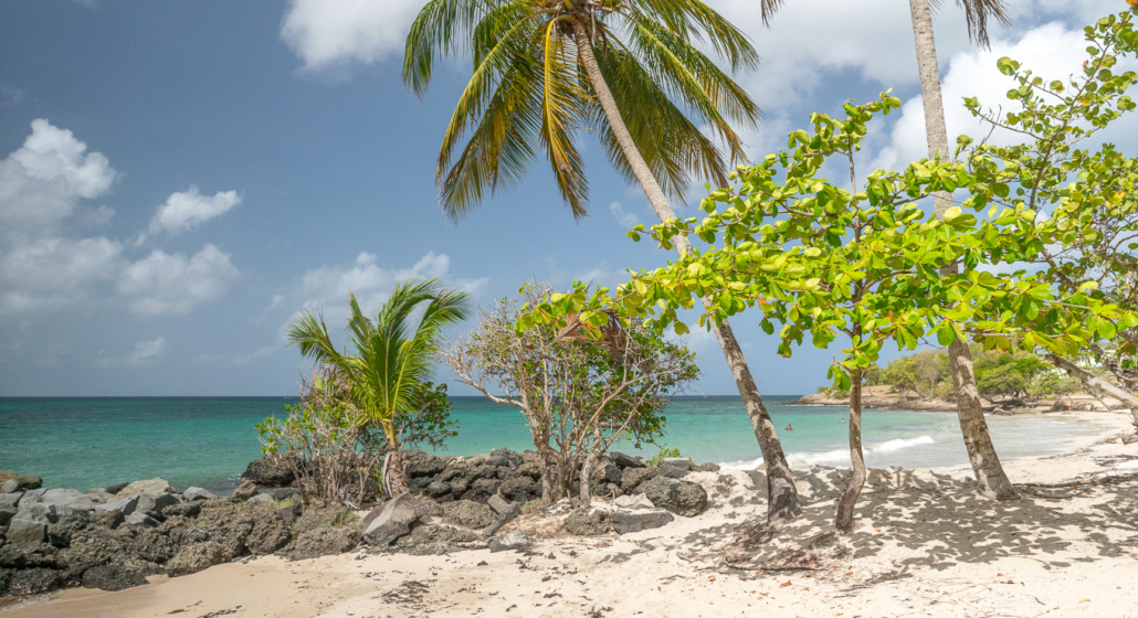 Anse Mabouya Beach_Sainte-Luce