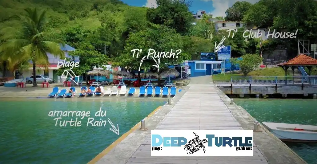 Deep Turtle Plongée