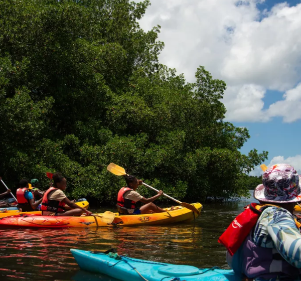 Kayak Aventure Mangrove