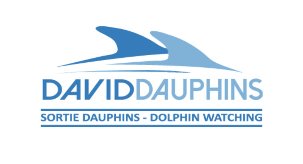 David Dauphins - l'Escale Nautik