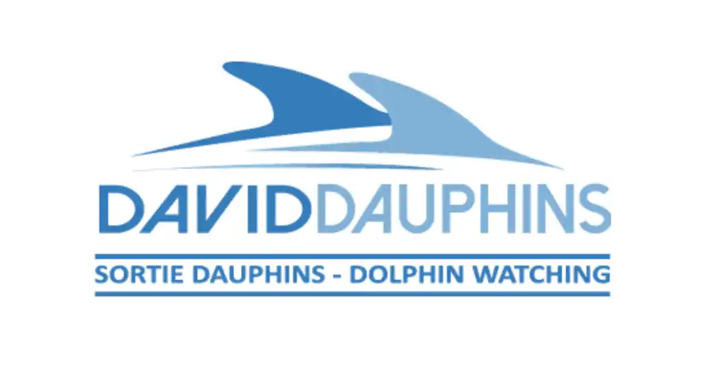 David Dauphins - l'Escale Nautik