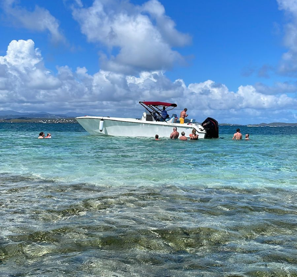 Denis Excursions