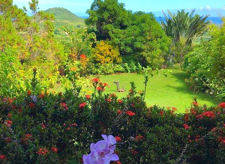 Ecotour – Jardin créole