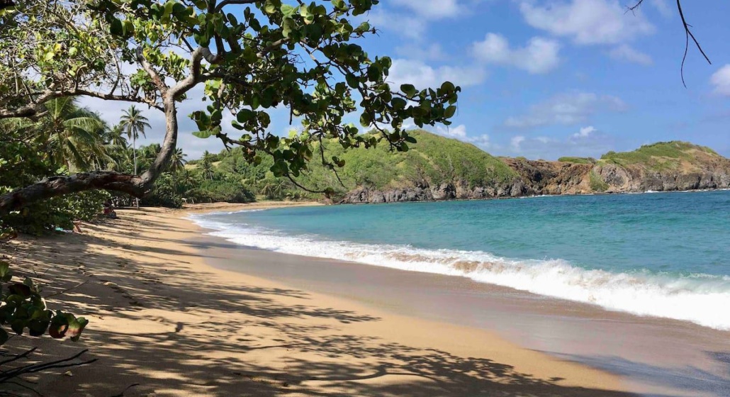 Anse Meunier (Anse Moustique)_Sainte-Anne