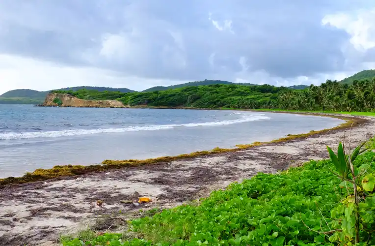 Anse Petit Macabou_Le Vauclin